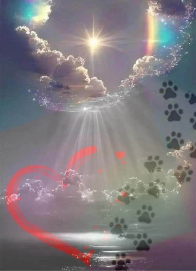 Condolence image of Karin