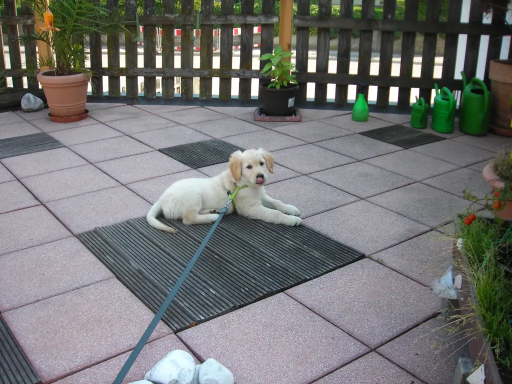 Andachtsbild von Peter & Christa 