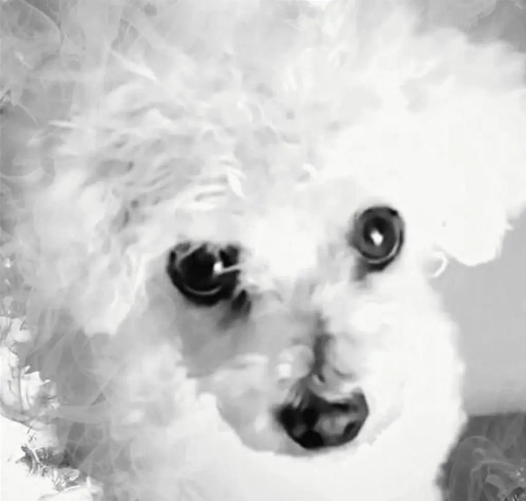 Andachtsbild von ♡ 