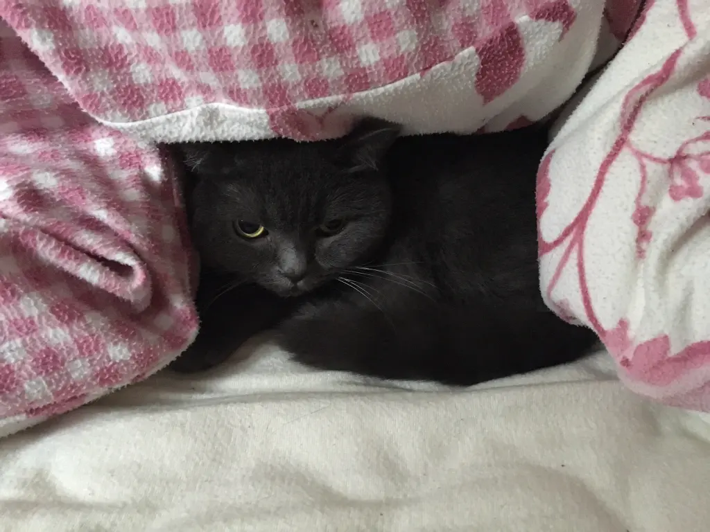 Condolence image of Isabell Klemm