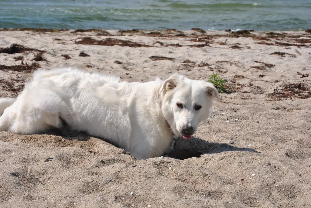 Condolence image of Petra Möller