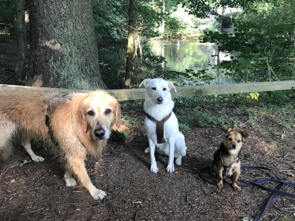 Condolence image of Johanna  Zabel 