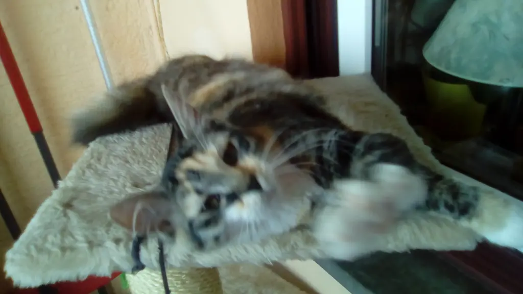 Condolence image of Rosemarie