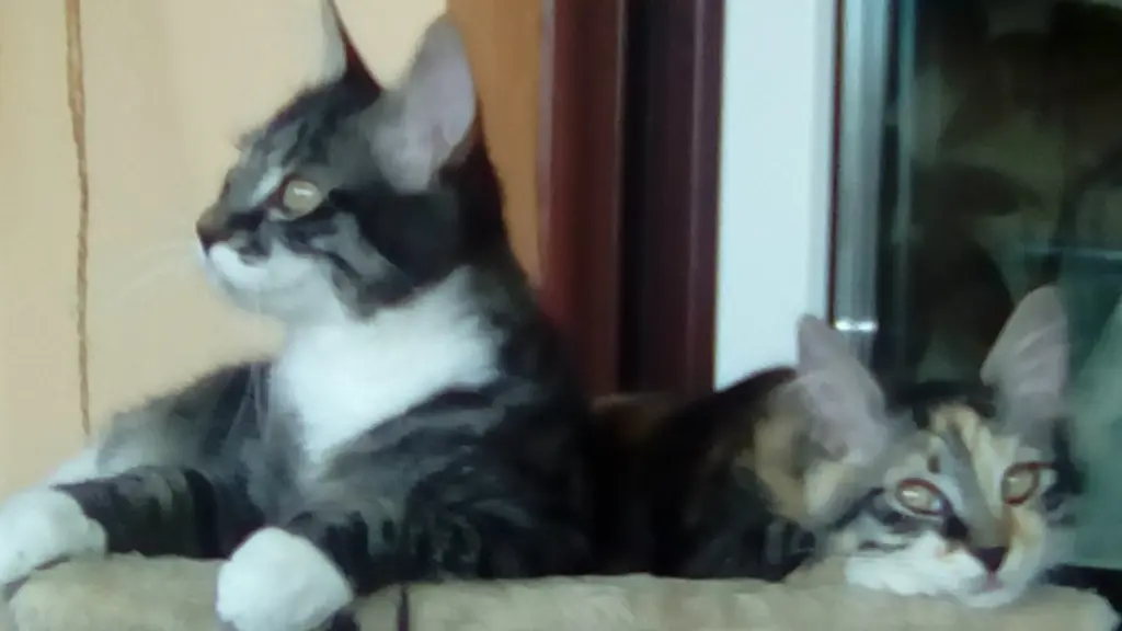 Condolence image of Rosemarie