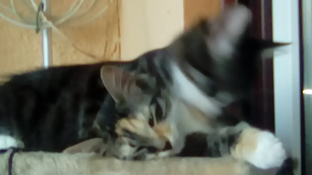 Condolence image of Rosemarie