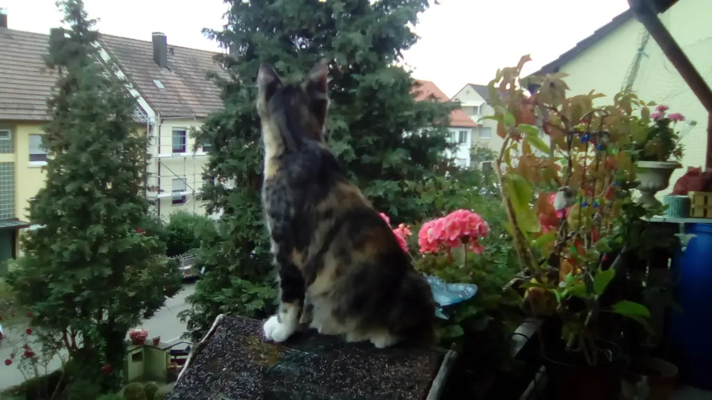 Condolence image of Rosemarie mit Minnie im Herzen