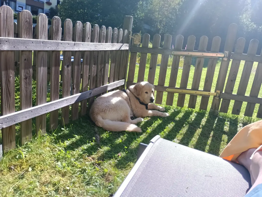 Andachtsbild von Peter