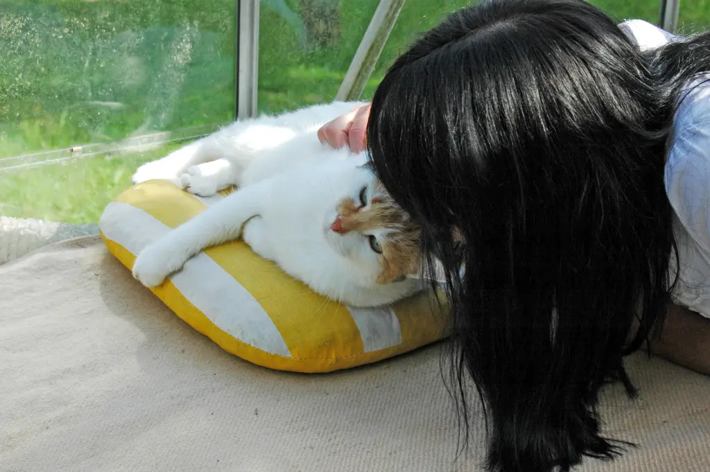 Andachtsbild von Sabine mit Mimmi im Herzen