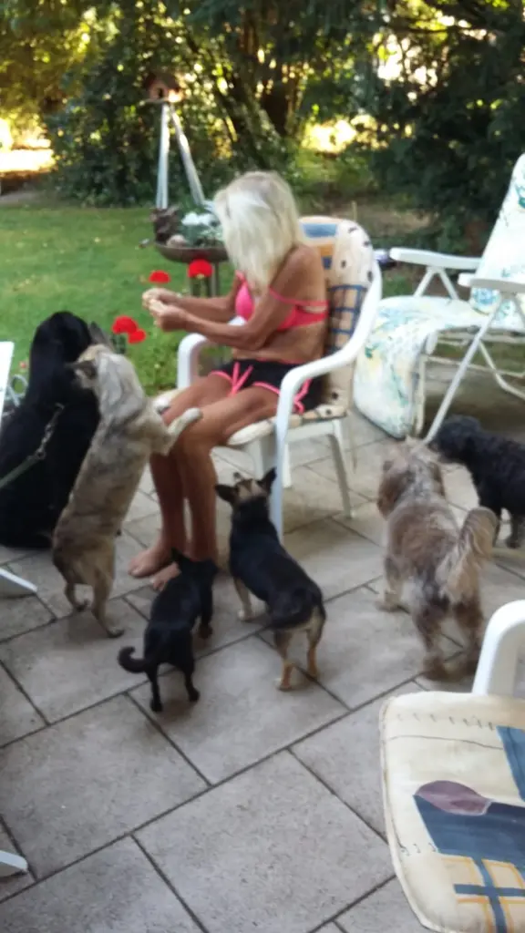 Andachtsbild von Moni