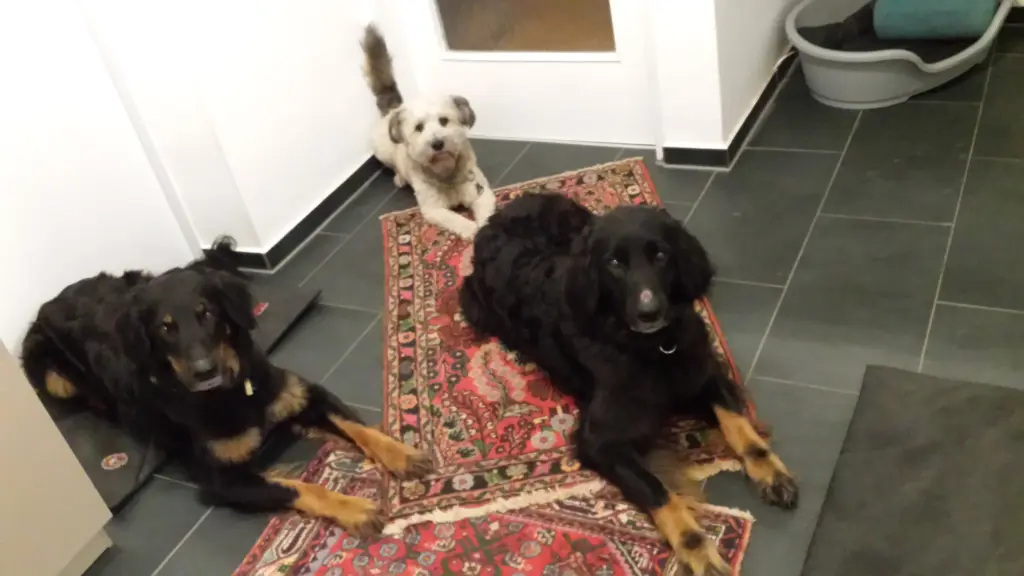 Andachtsbild von Ute Gerschütz