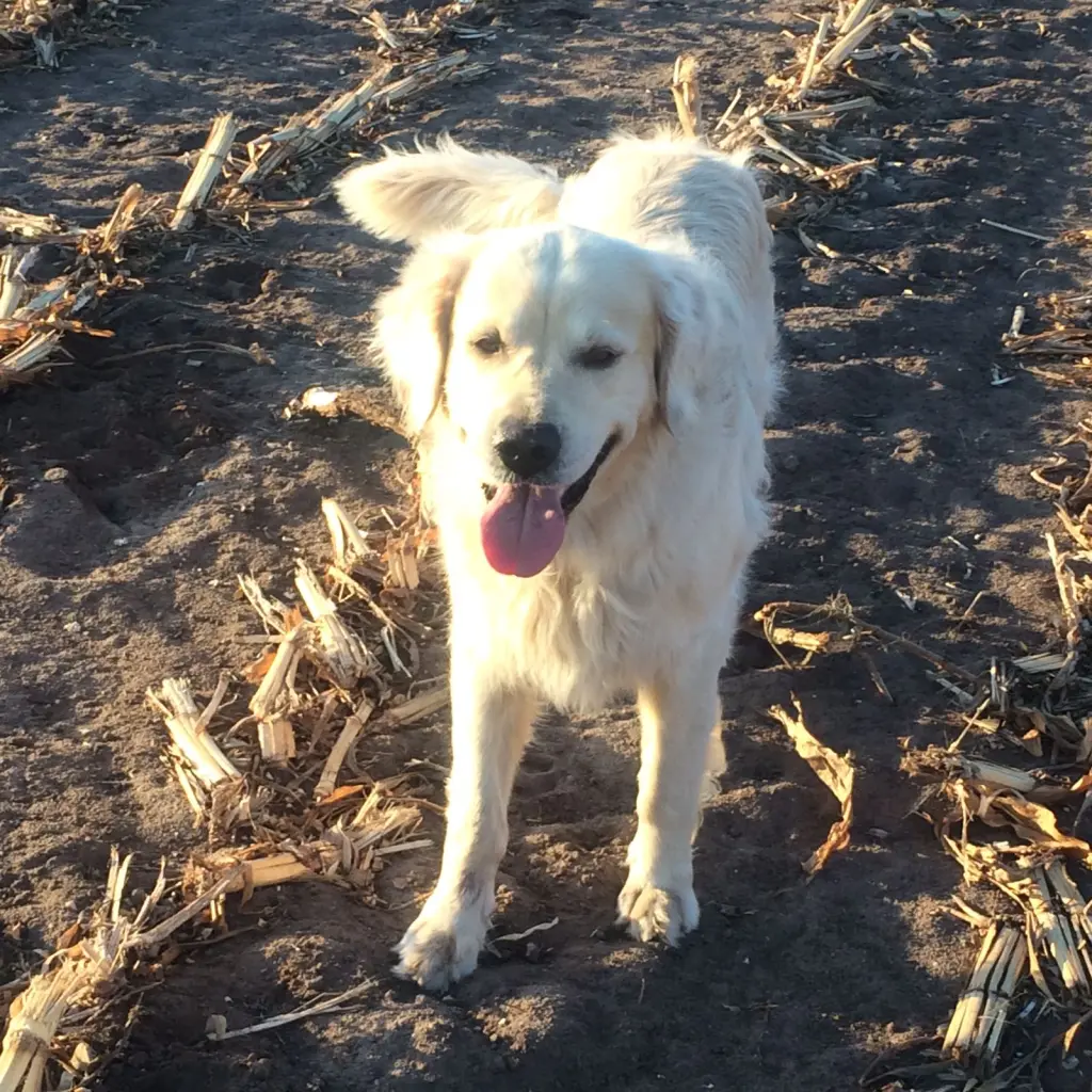 Andachtsbild von Andy und Piet ❤️❤️