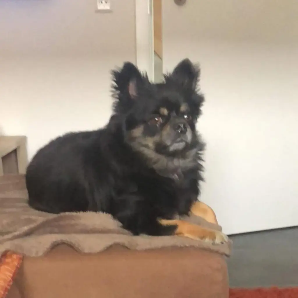 Andachtsbild von Michael Caltagirone