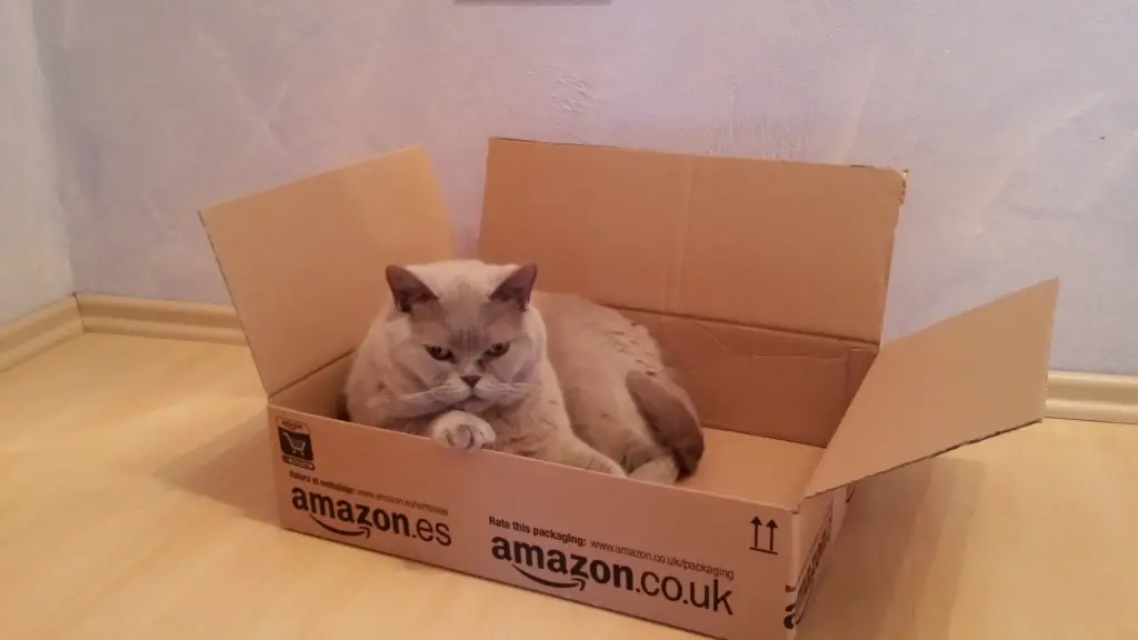 Image from Kitty