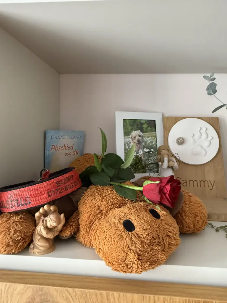 Für immer mitten unter uns ♥️