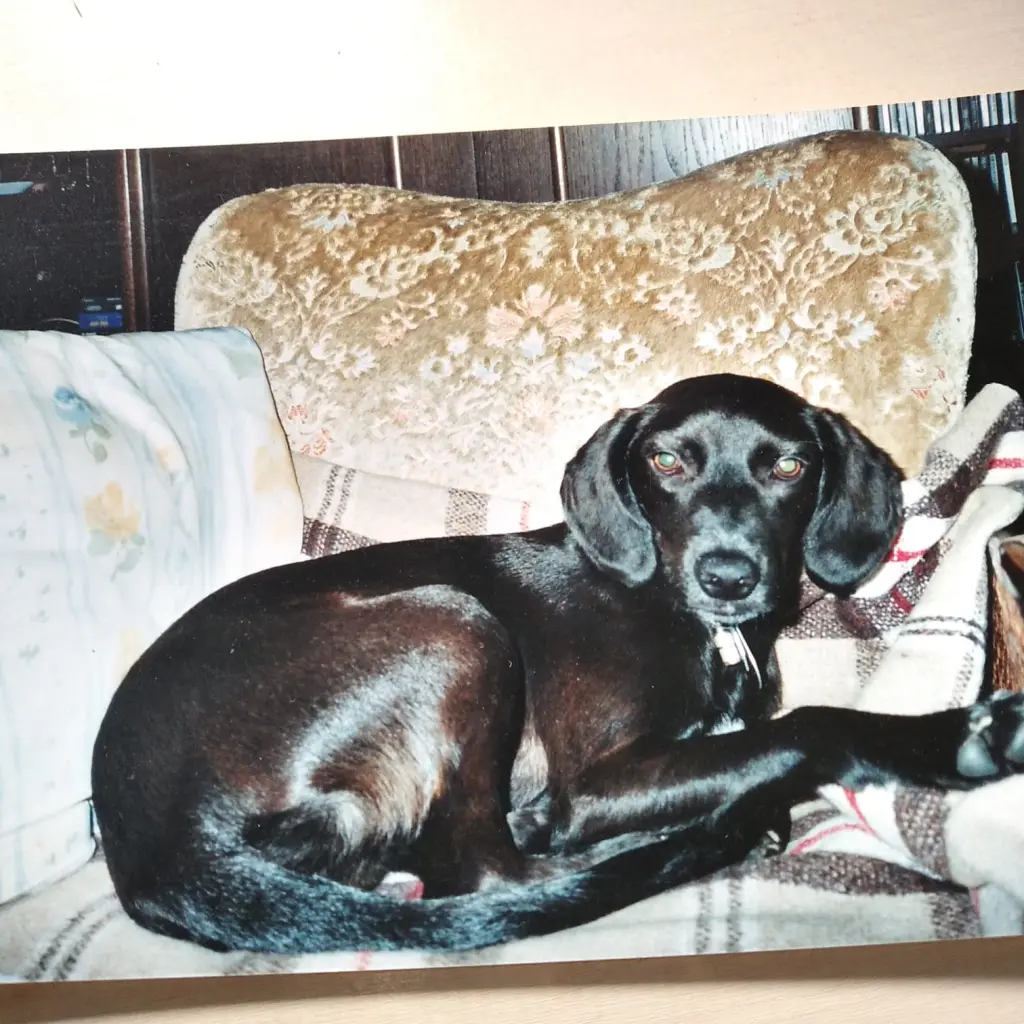 Andachtsbild von Erika Cremer