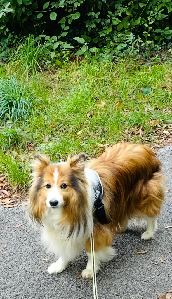 Andachtsbild von Michaela