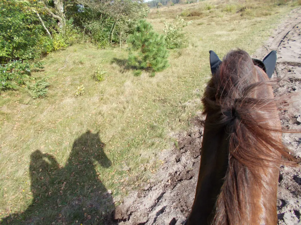 Andachtsbild von Annette und Luki