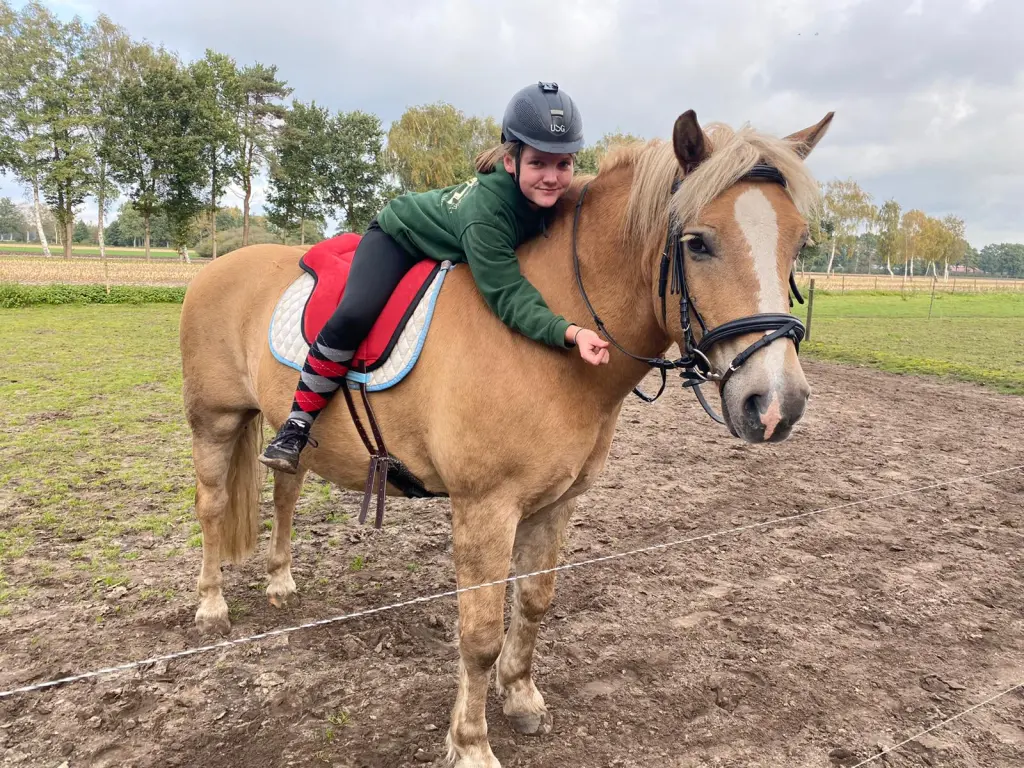 Bild von Winnie Pooh