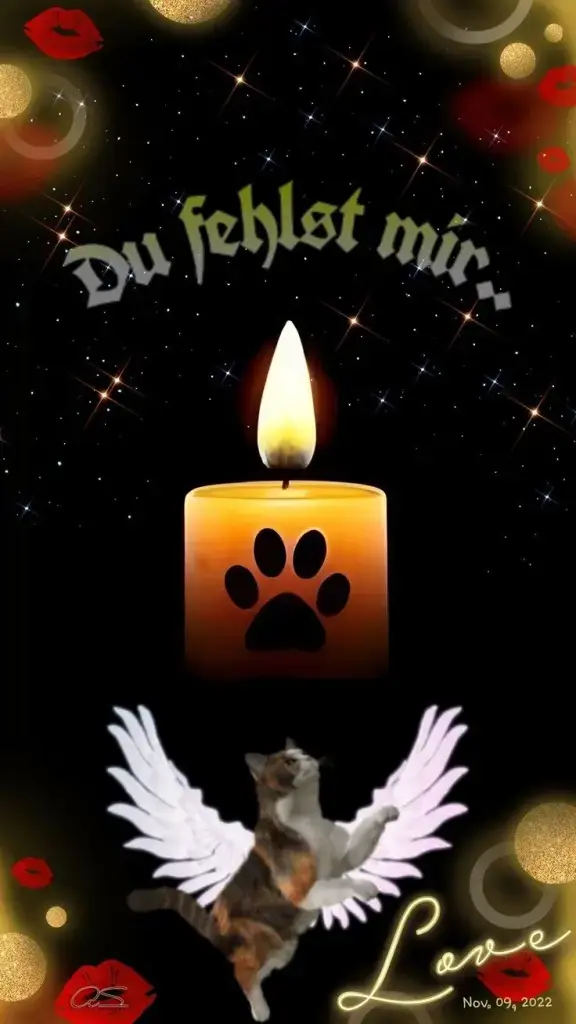 Andachtsbild von Konny mit Piccolino-Fly tief im ❤️