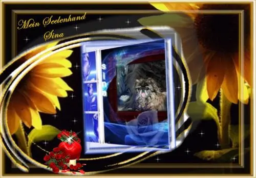 Image from mein geliebtes Sina-Mädchen