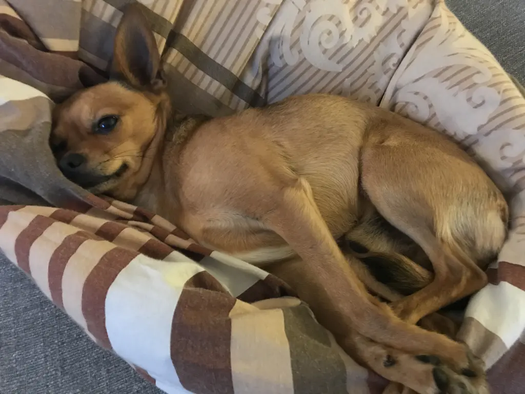 Condolence image of Jennifer