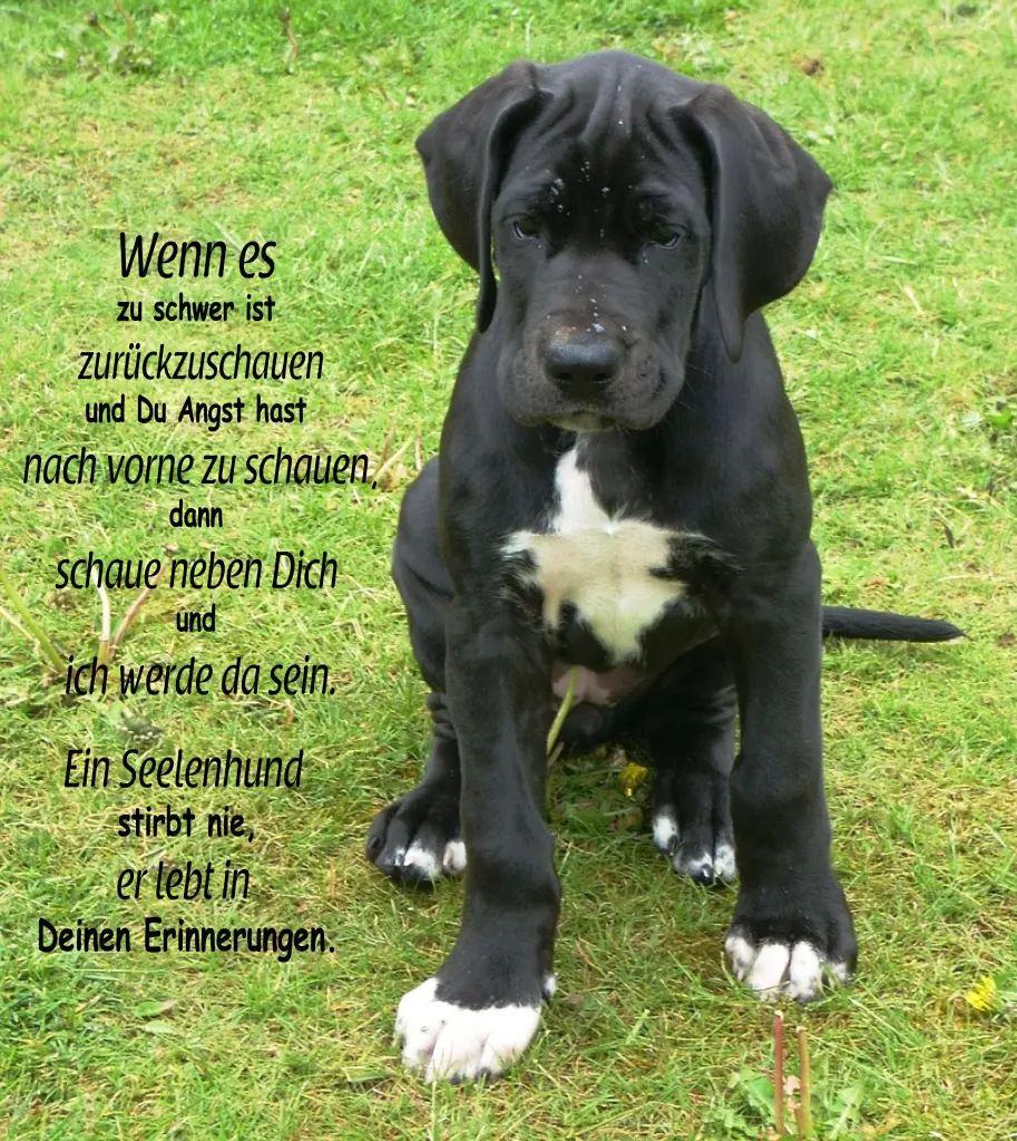 Condolence image of Ute Studberg-Wirth