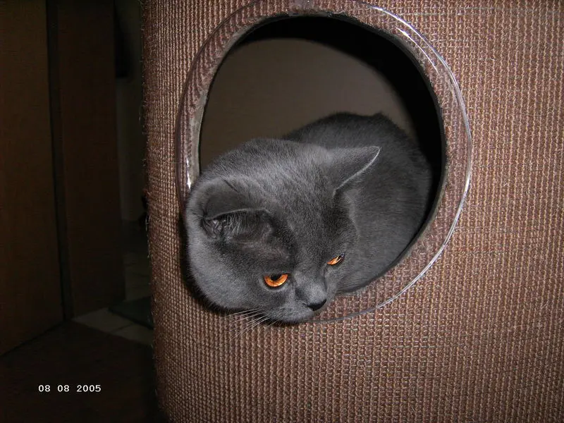 Image from Krümelchen