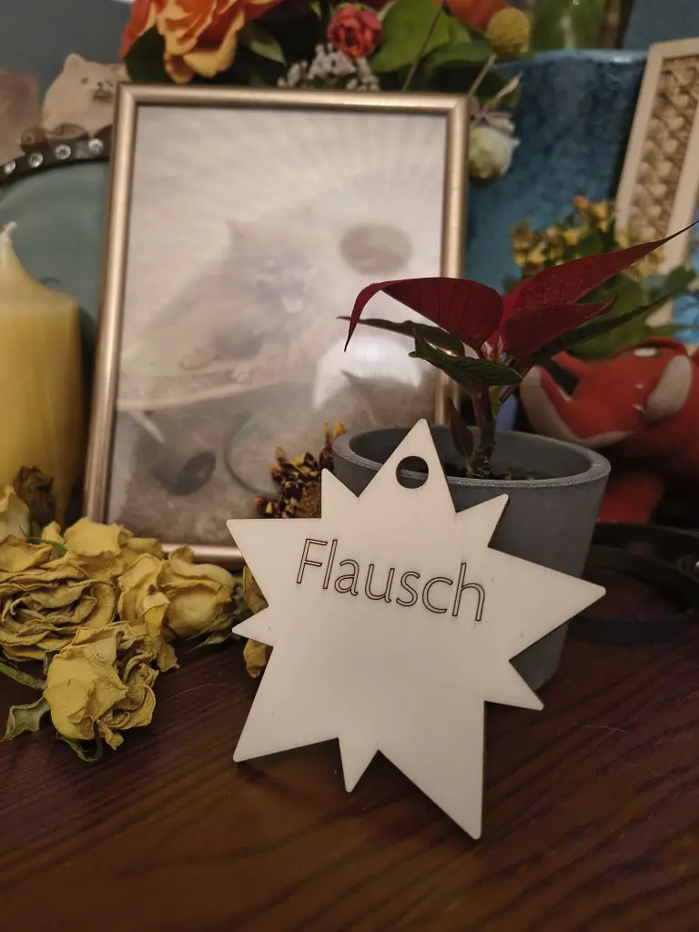 Image from Flausch