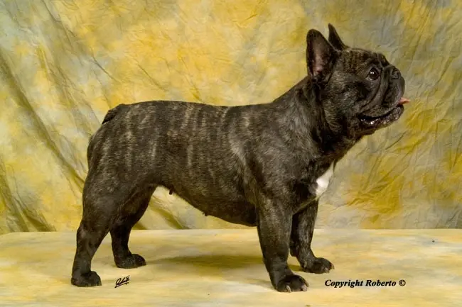 Image from Charlotta