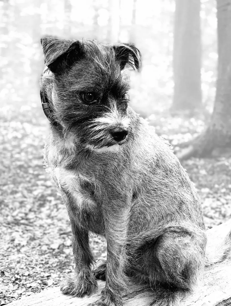 Condolence image of Ela