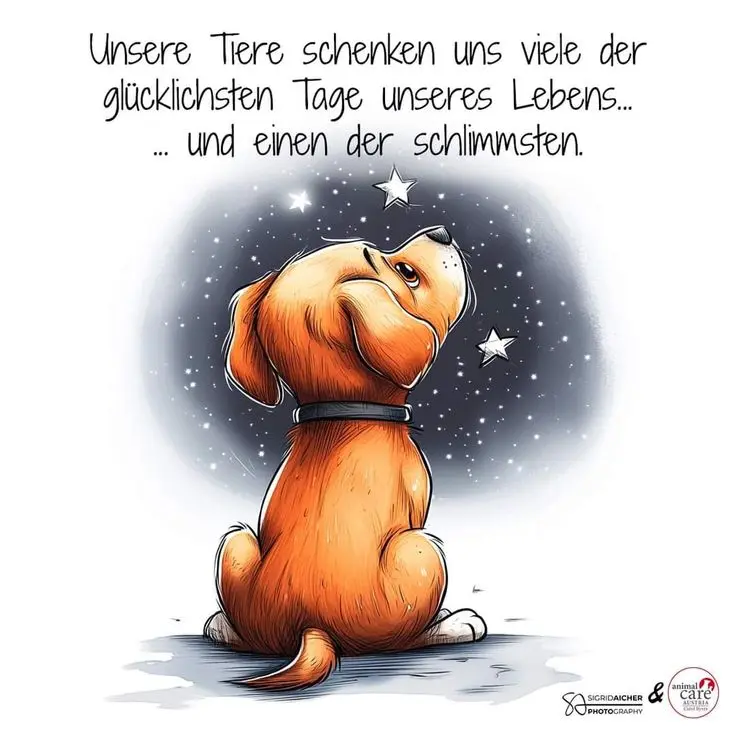 Condolence image of Manuela mit Fiby im Herzen ❤️ 