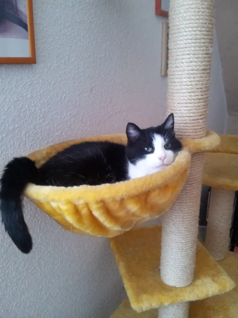 Condolence image of Ilse mit Fee und Minna im Herzen