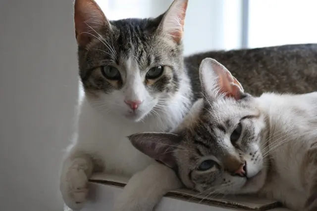 Baby und Freund Sergio