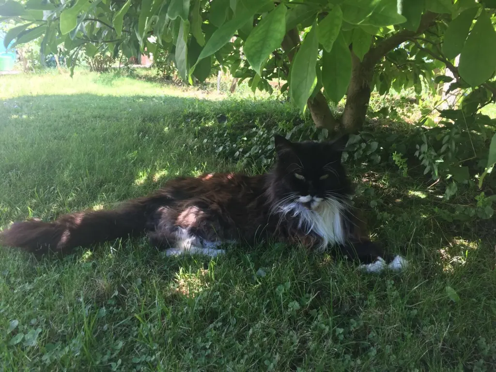 Condolence image of Steffen Weber