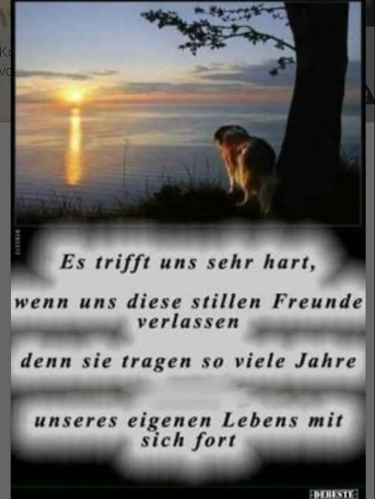 Condolence image of Ulla mit Trixi im ❤️ 