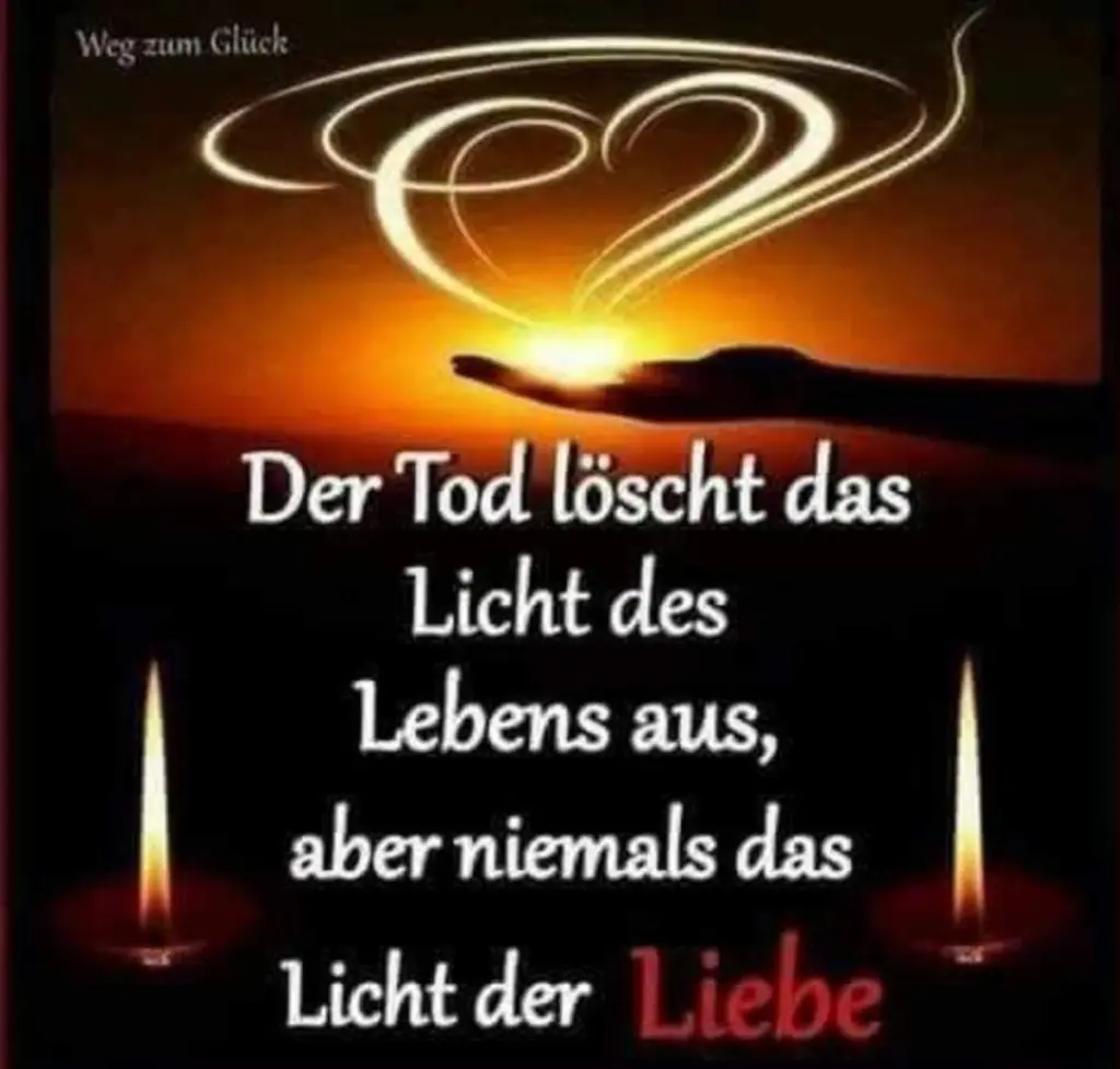 Condolence image of Paul mit "Seelenhund Spiky im Herzen"