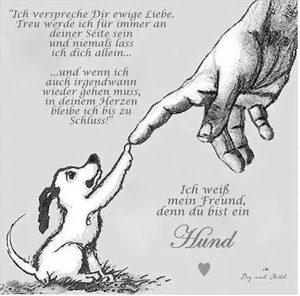 Condolence image of Paul