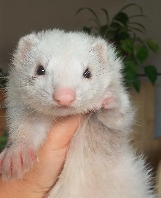 Condolence image of Unbekannt