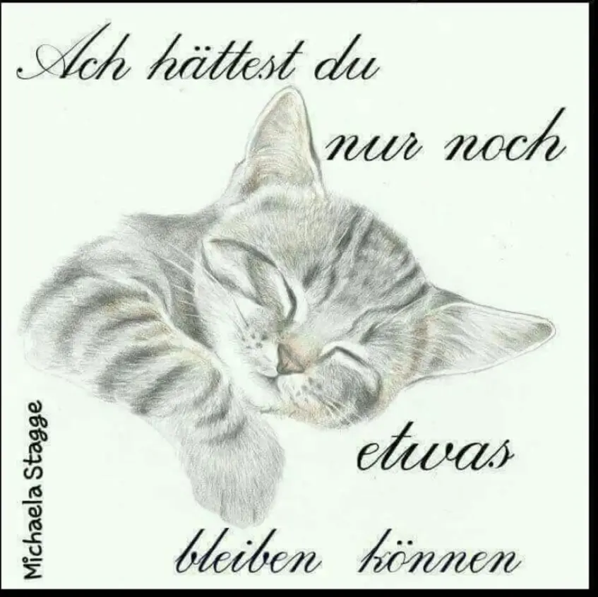 Condolence image of Ulla mit Trixi im ❤️ 