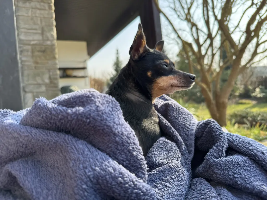 Sonne genießen, wann immer es ging