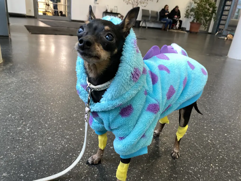 Du warst immer tapfer ♥️