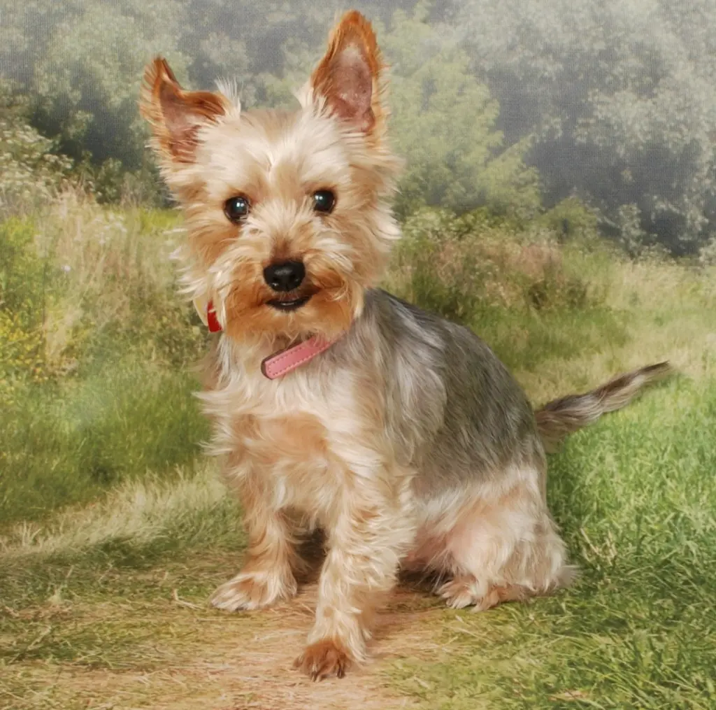 Lisa
     10 Jahre alt