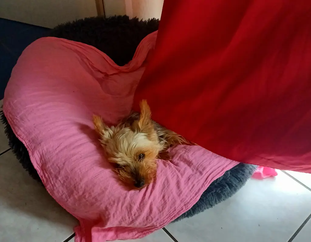 An der Tür hat 
     unsere Lisa 
 immer auf uns 
      gewartet.