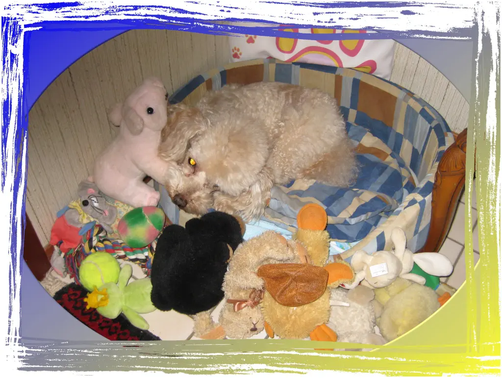 Condolence image of Inge und Achim