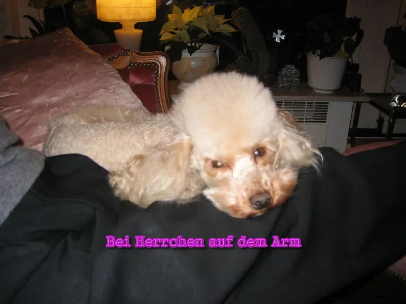 Condolence image of Inge Schmidtke