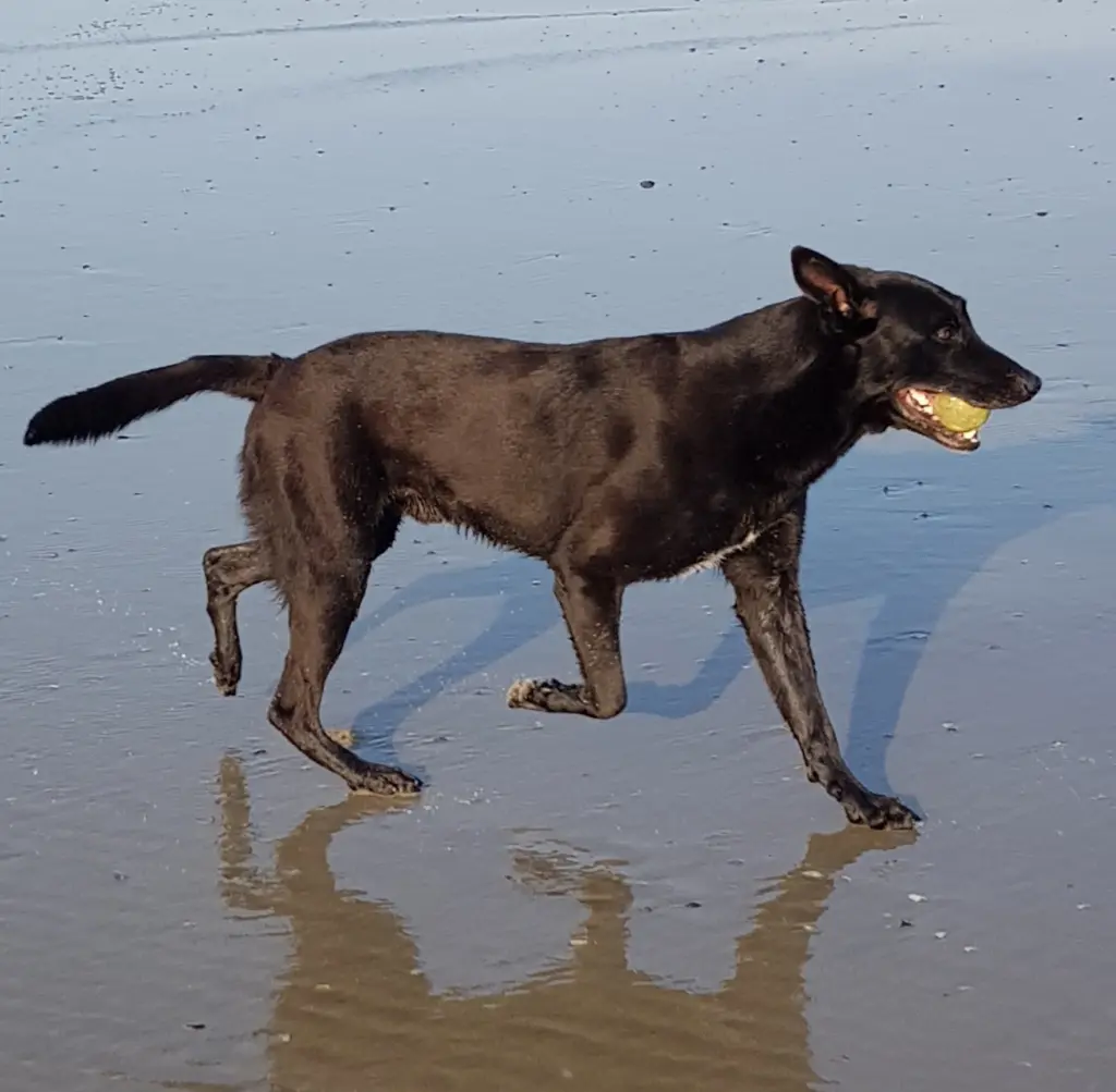 Andachtsbild von Kerstin