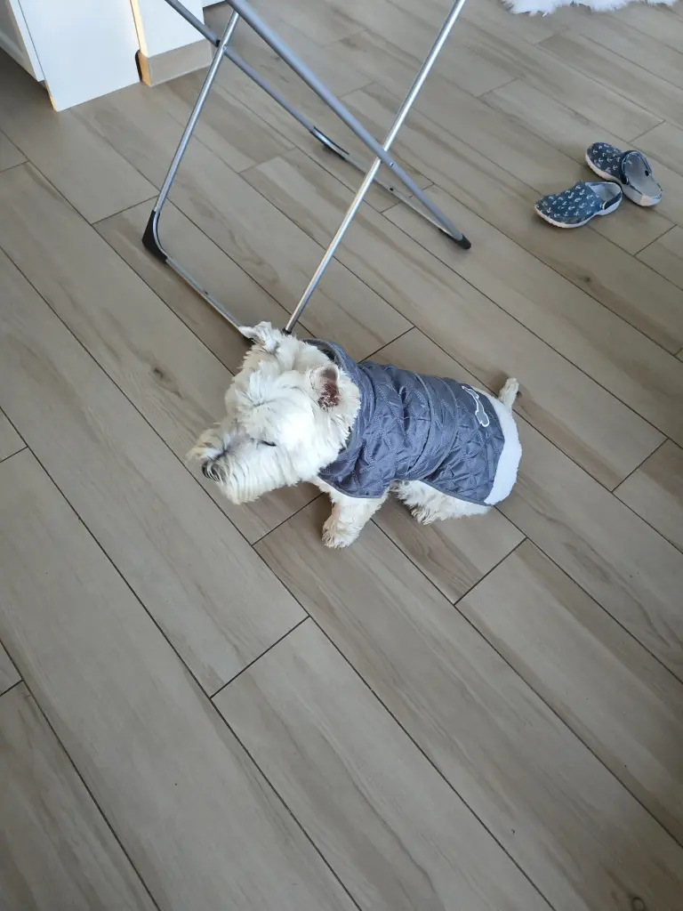 Andachtsbild von Monika Kasimir