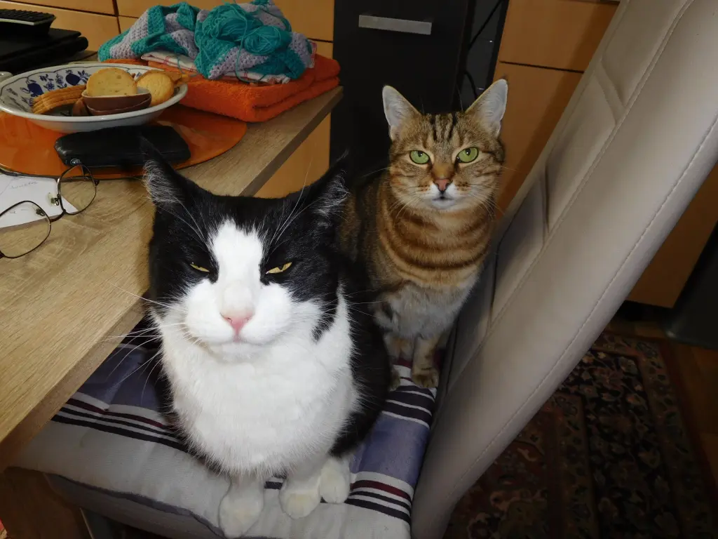 Condolence image of Peter und Marina mit Whisky Gestorben am 25.11.2017