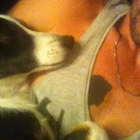 Andachtsbild von Timo Niels Lindner