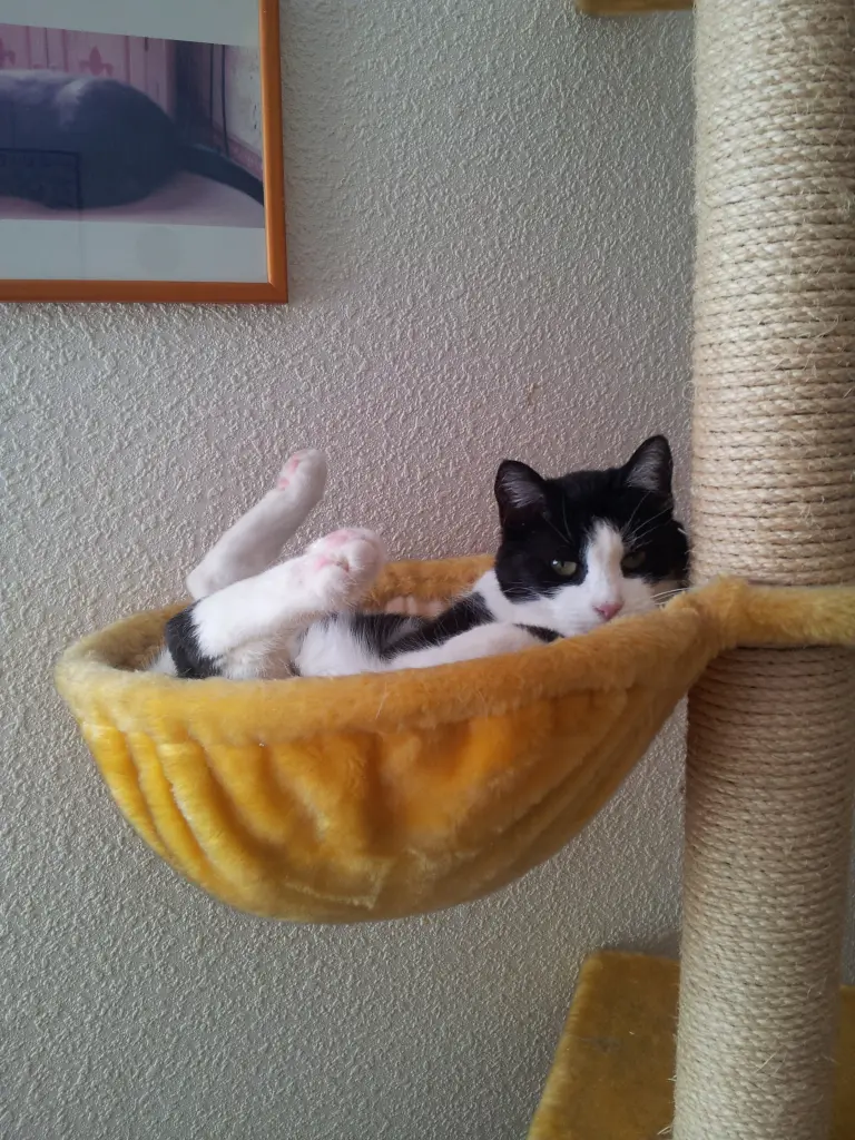 Condolence image of Ilse mit Fee und Minna im Herzen